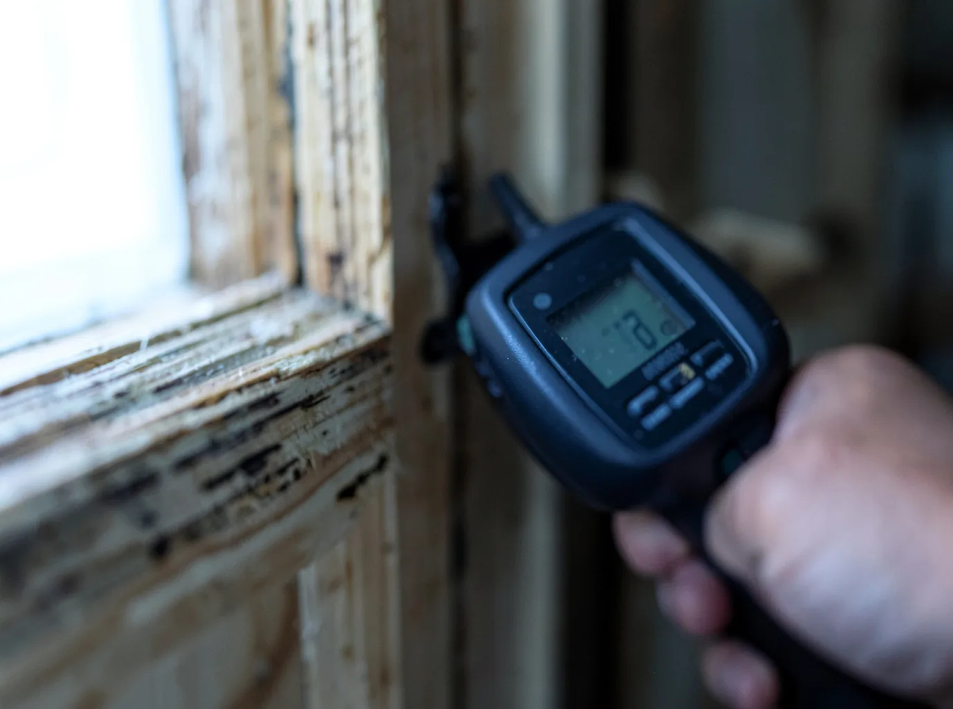Water Damage Restoration Tallahassee, FL FAQs
